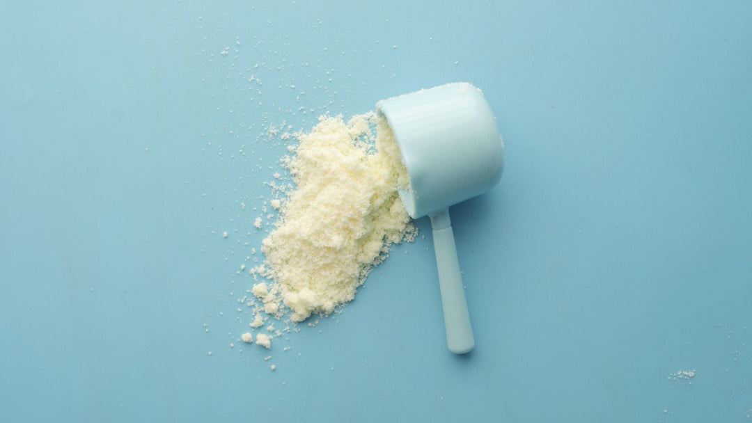 protein_shake_powder